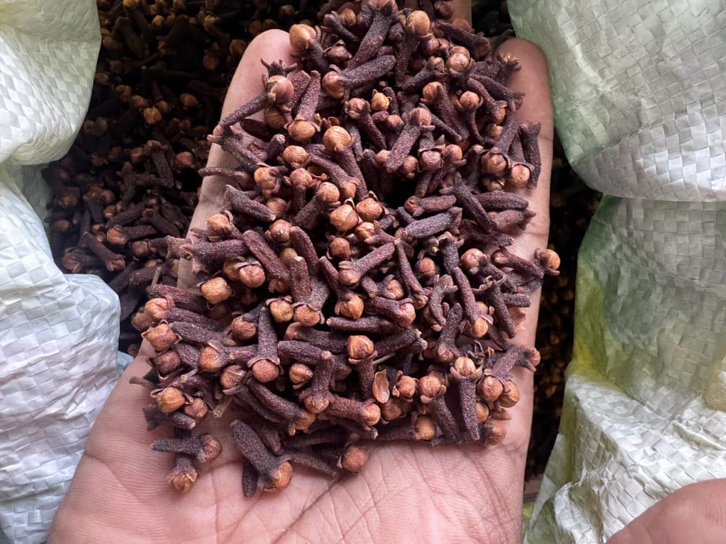 Handful of whole dried cloves from Idukki