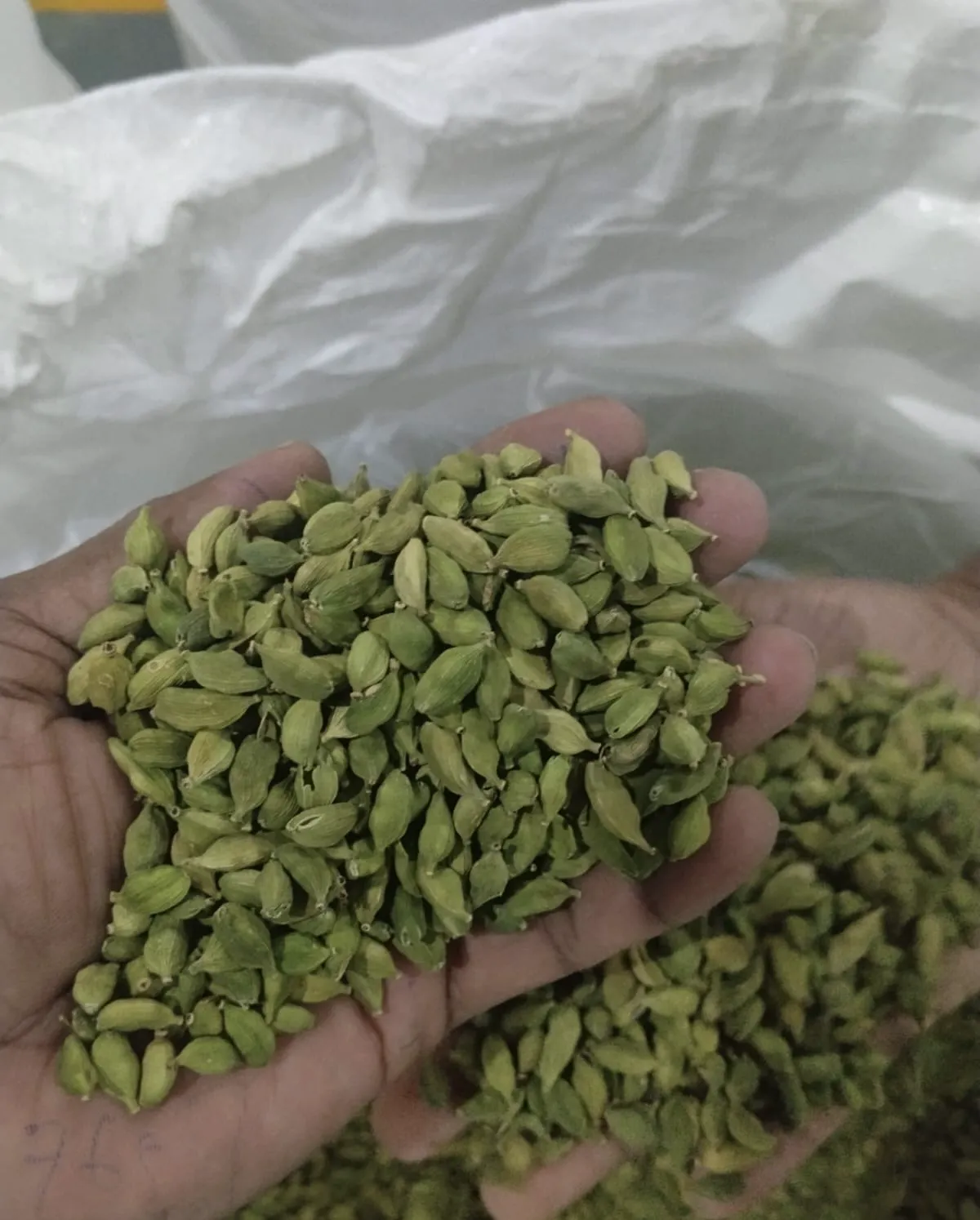 6-7 mm whole green cardamom pods