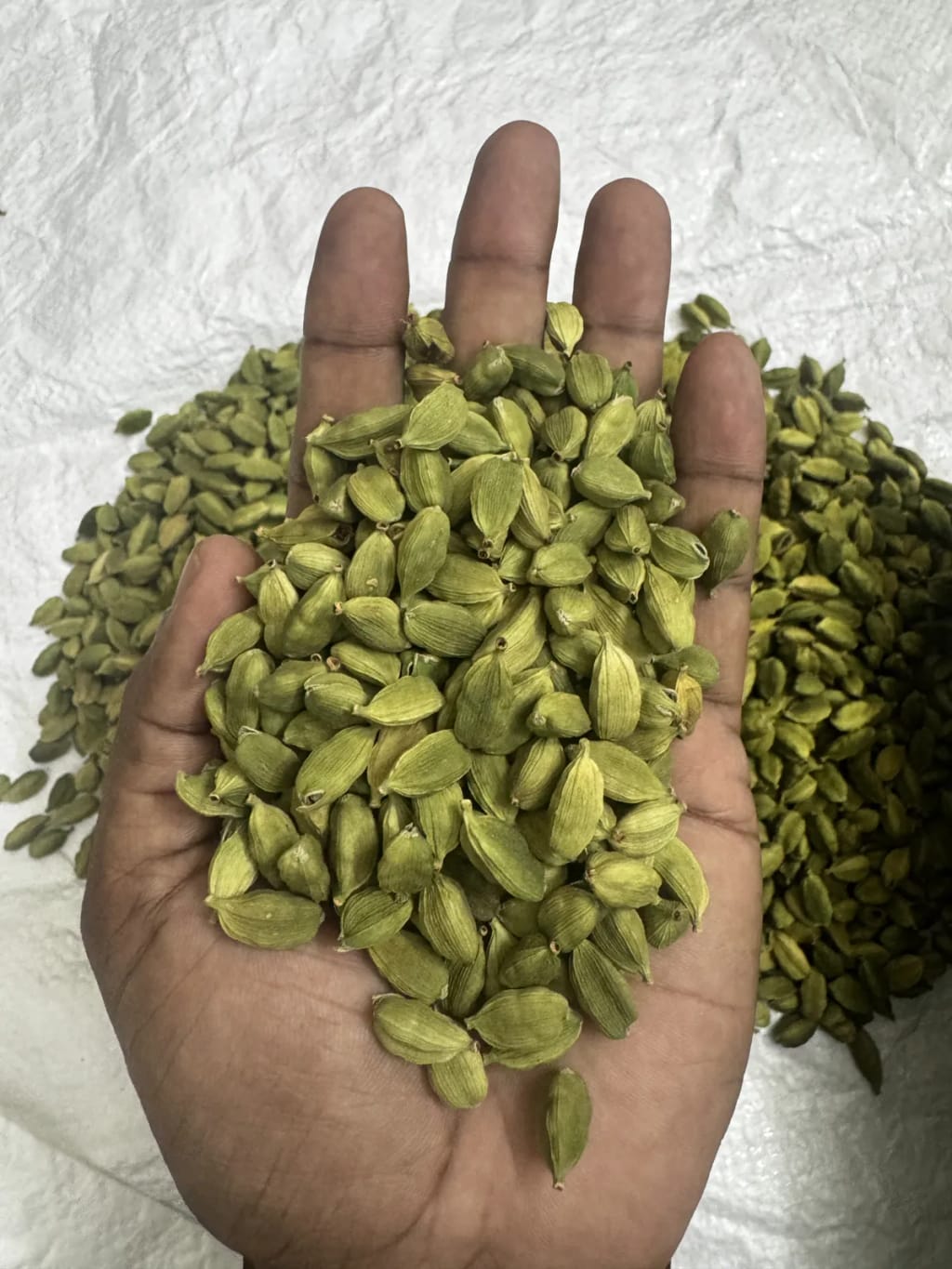 7-8 mm whole green cardamom pods