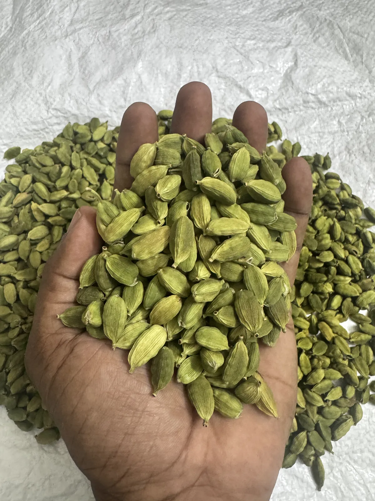 Handful of 8 mm+ whole green cardamom pods from Idukki