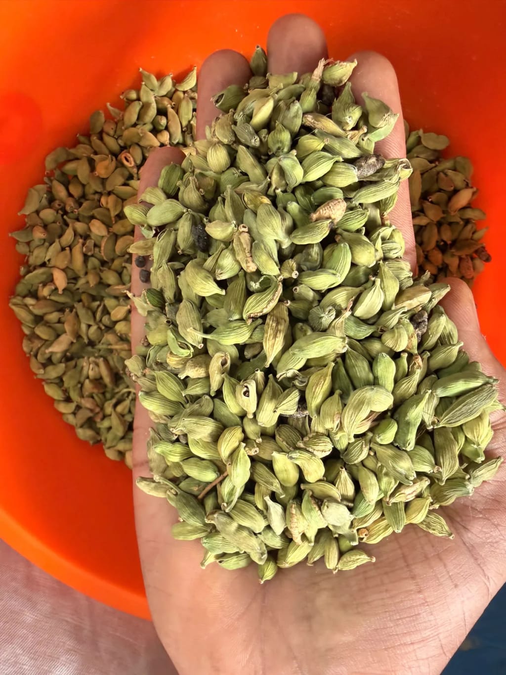 6-7 mm rejection grade green cardamom pods