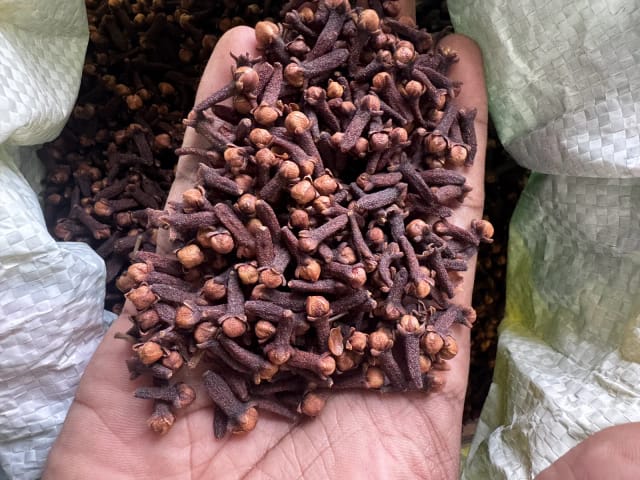 Handful of whole dried cloves from Idukki